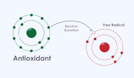 Free Radicals and their Scavengers: The Importance of Antioxidants in Promoting Optimal Health