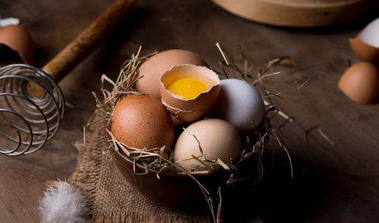 eggs