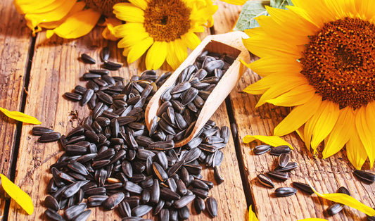 Sunflower Seeds Nutrition and 7 Impressive Health Benefits