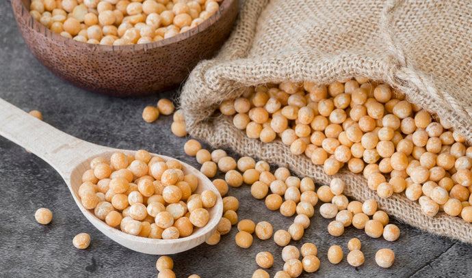Are You Getting Your Garbanzo Bean Sprouts? Unlocking the Nutritional Powerhouse