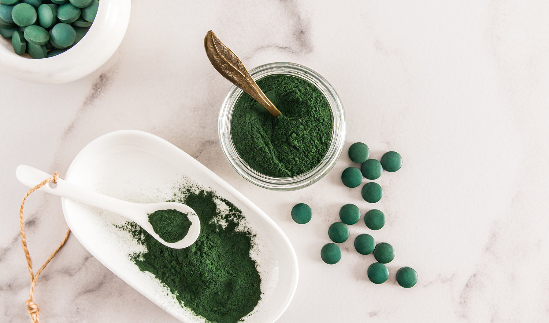 Unlocking the Power of Algae: The Rise of Algae Supplements – Terranics
