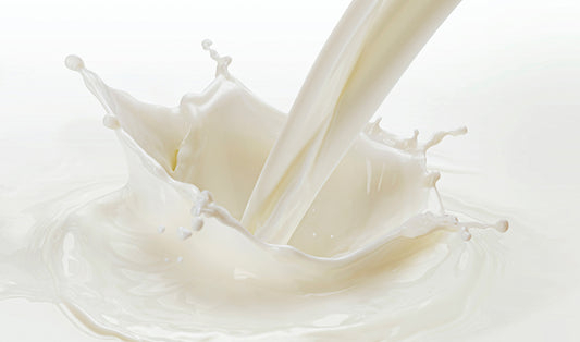 Which Milk Is Best for Your Body—and the Planet?
