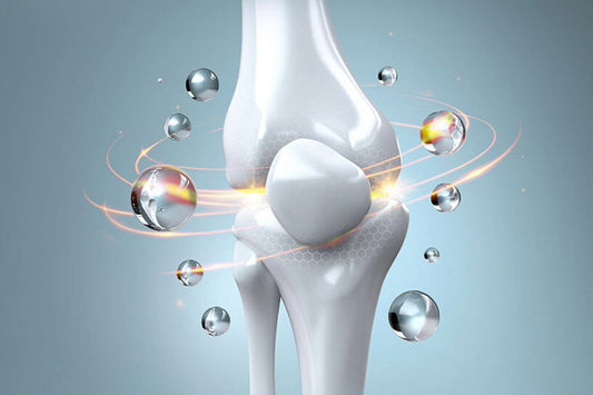 Essential Tips to Build and Maintain Strong Bones Throughout Life