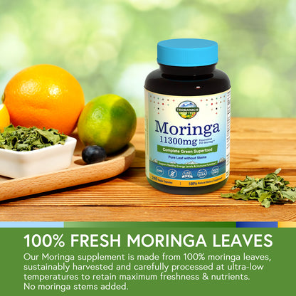 Moringa 11000mg 240 Capsules