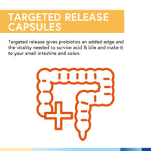 Load image into Gallery viewer, Probiotic 120 Billion CFUs
