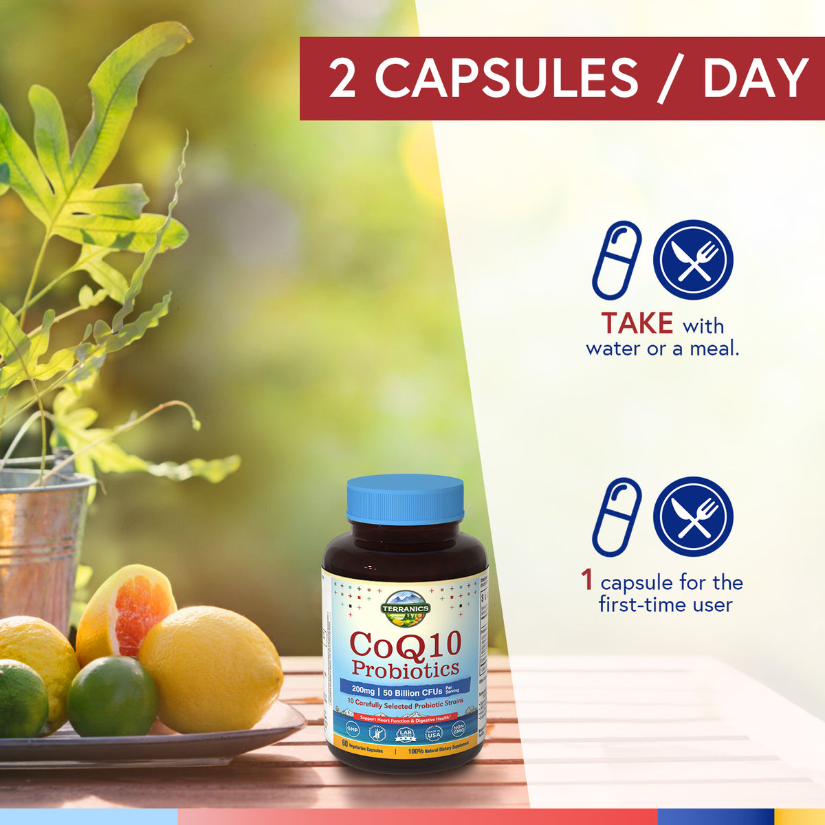 CoQ10 with Probiotics