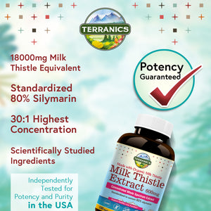 Milk Thistle Extract