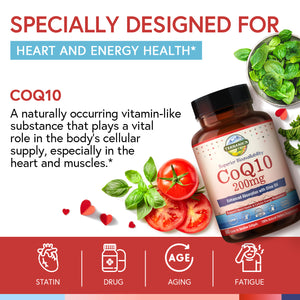 CoQ10